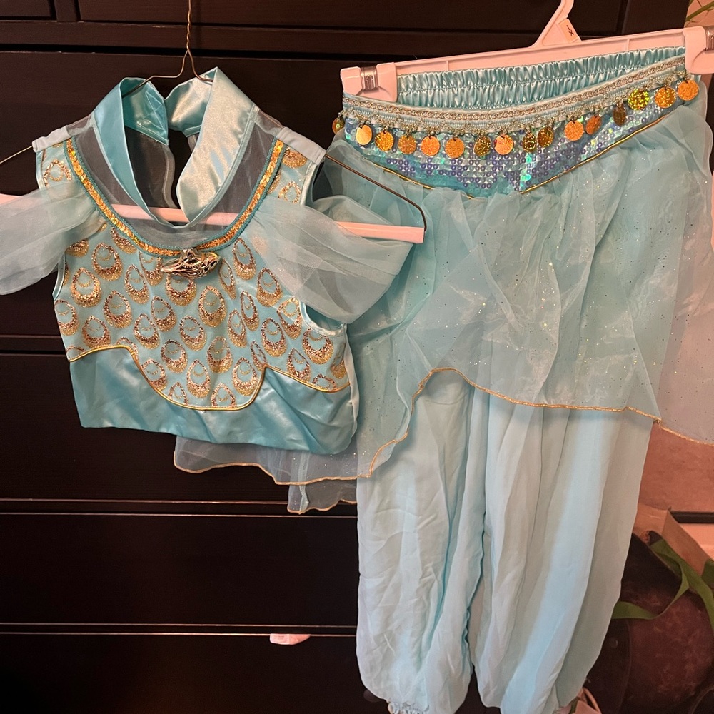 Disney Castle Collection Jasmine Costume